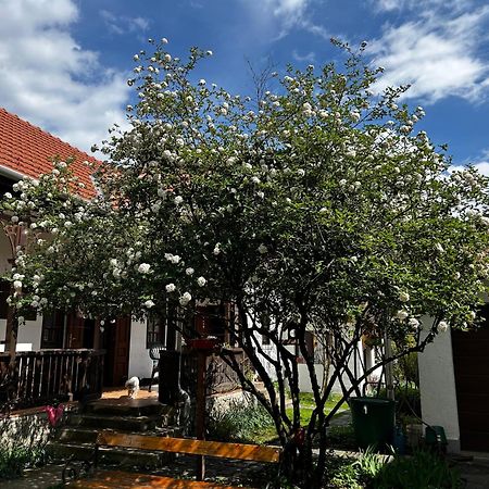 Appartement Magnolia Garden à Miskolc Extérieur photo