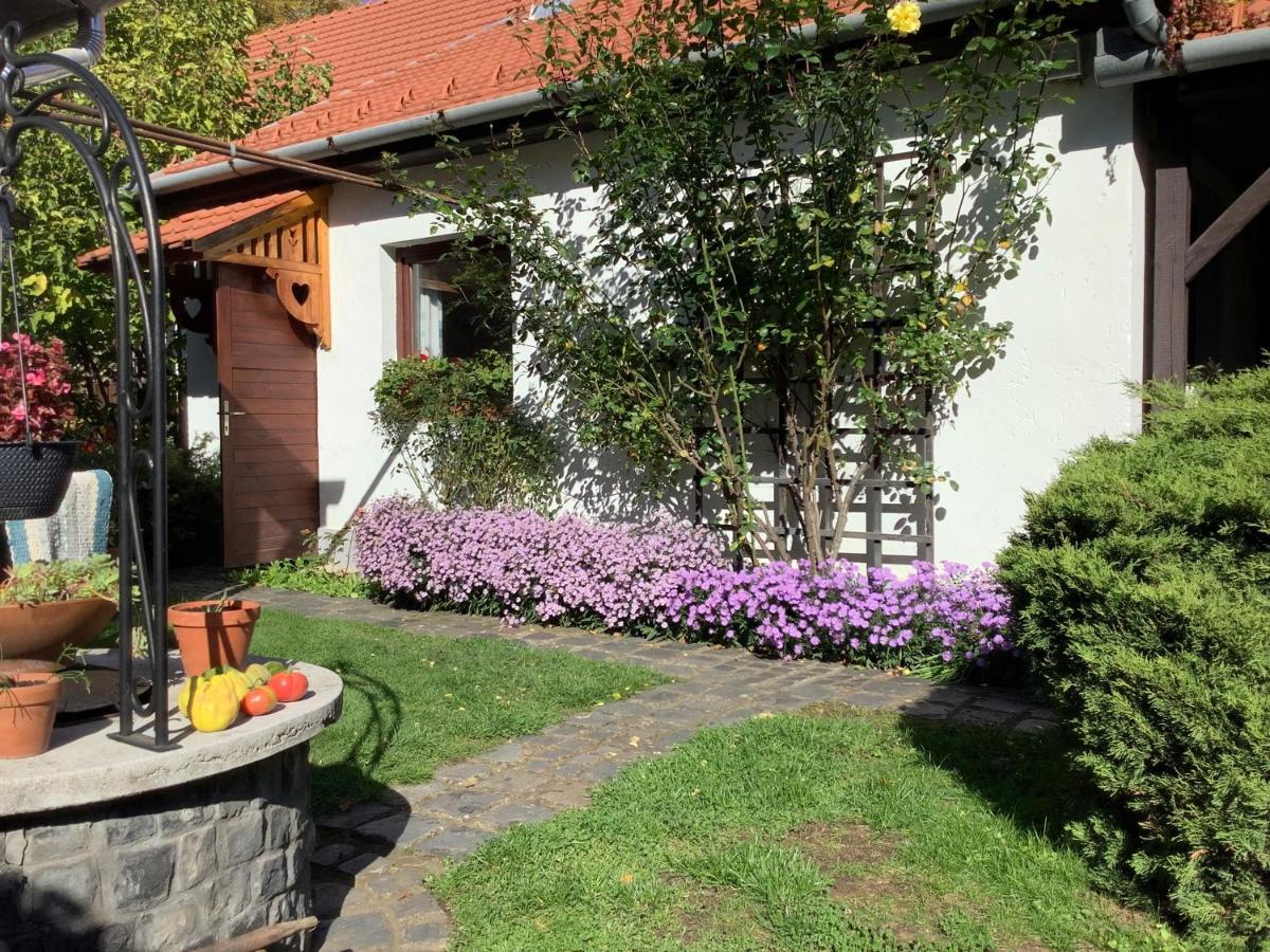 Appartement Magnolia Garden à Miskolc Extérieur photo