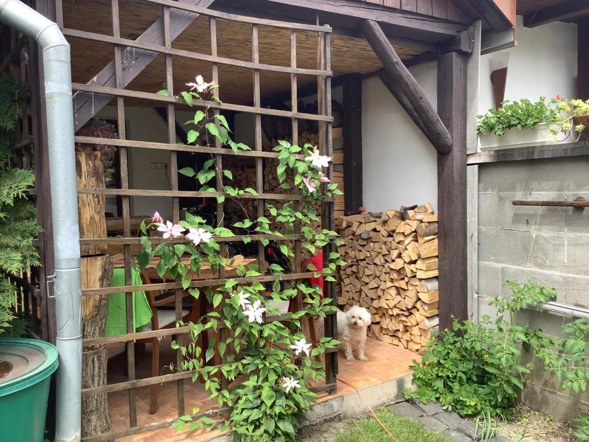 Appartement Magnolia Garden à Miskolc Extérieur photo
